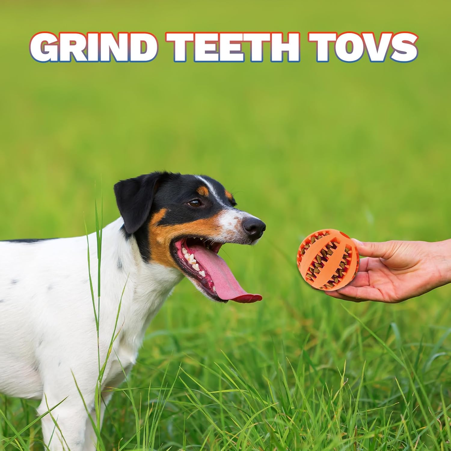 LUMOOM Pack of 2 Dog Toy Ball, Interactive Treat Dispenser, Intelligence Ball, Robust Dog Ball, Diameter 6 Cm, Natural Rubber Puppy Toy, Rubber Ball for Puppies (Blue + Orange) image number 6