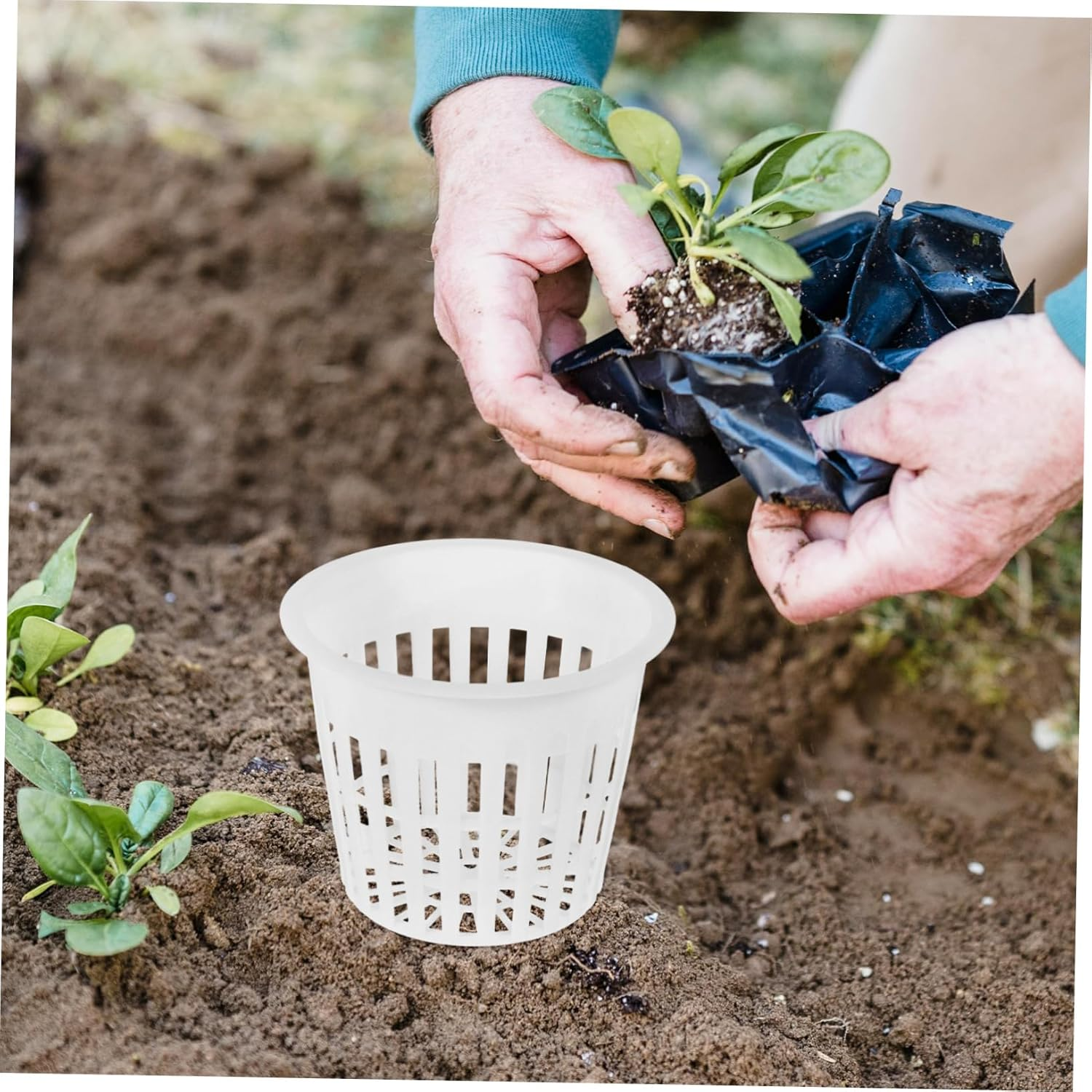 Parliky 10Pcs White Plastic Hydroponic Net Planter Pots Mesh Nursery Baskets for Orchids and Aquatic Plants Root Control Indoor Gardening Grow Supplies image number 6