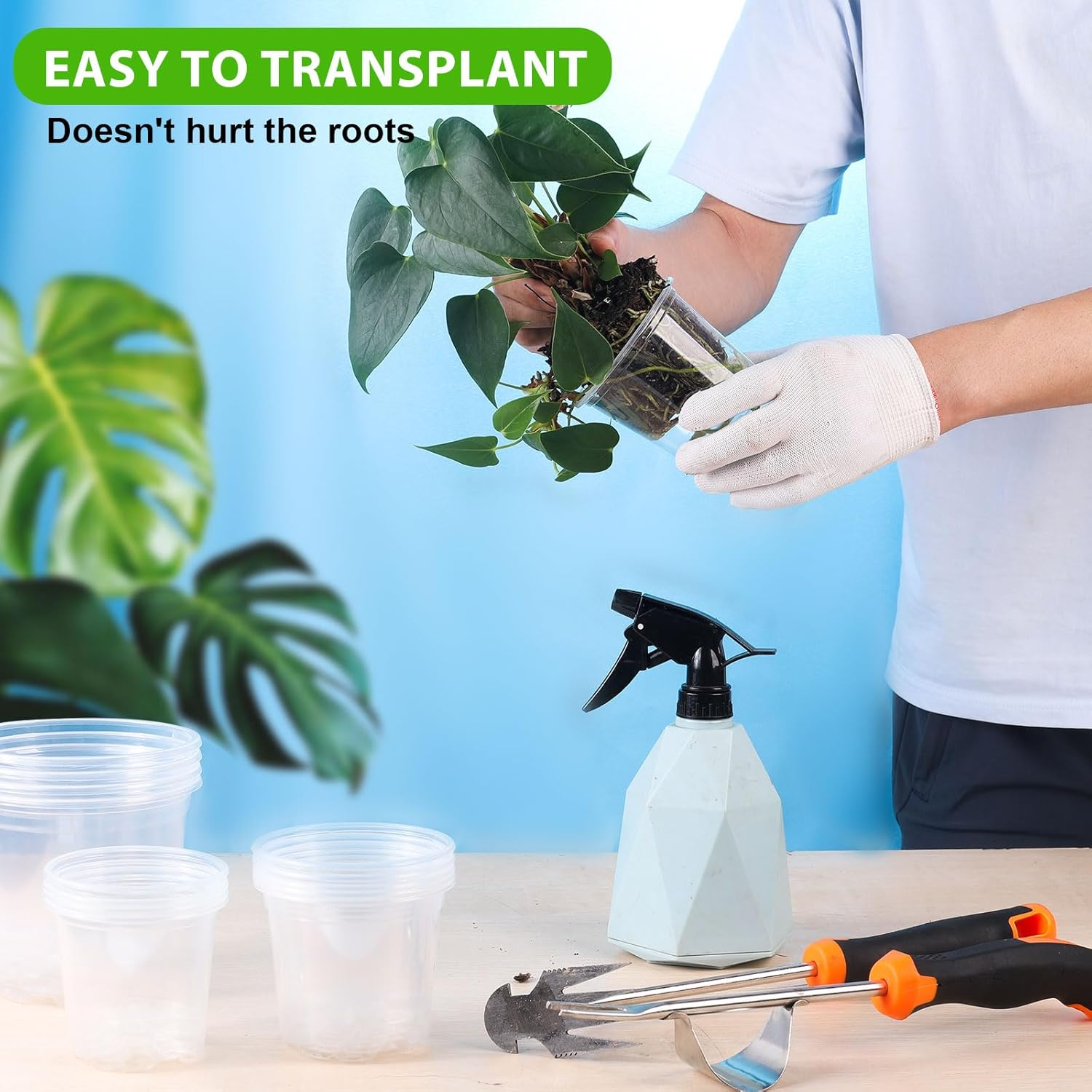 Clear Nursery Pots for Plants, 3.5/4/5 Inch Plastic Plant Flower Pot with Drainage Holes High Transparency Seedling Planter for Seed Starter (15PCS) image number 4