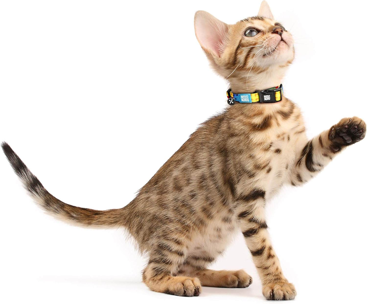 Smart ID Cat Collar (Comic) image number 2