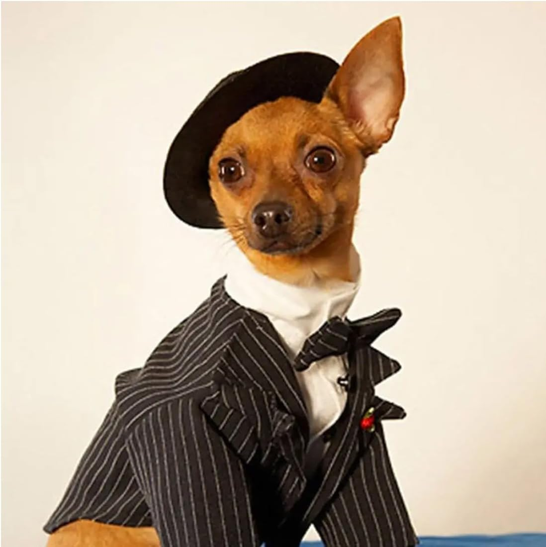 Luliyldj Black Beret Hat, Cat Hat, Cat Clothing, Costume for Cats, Dog Costume, Headwear for Cats, Puppies, Pet Materials image number 1