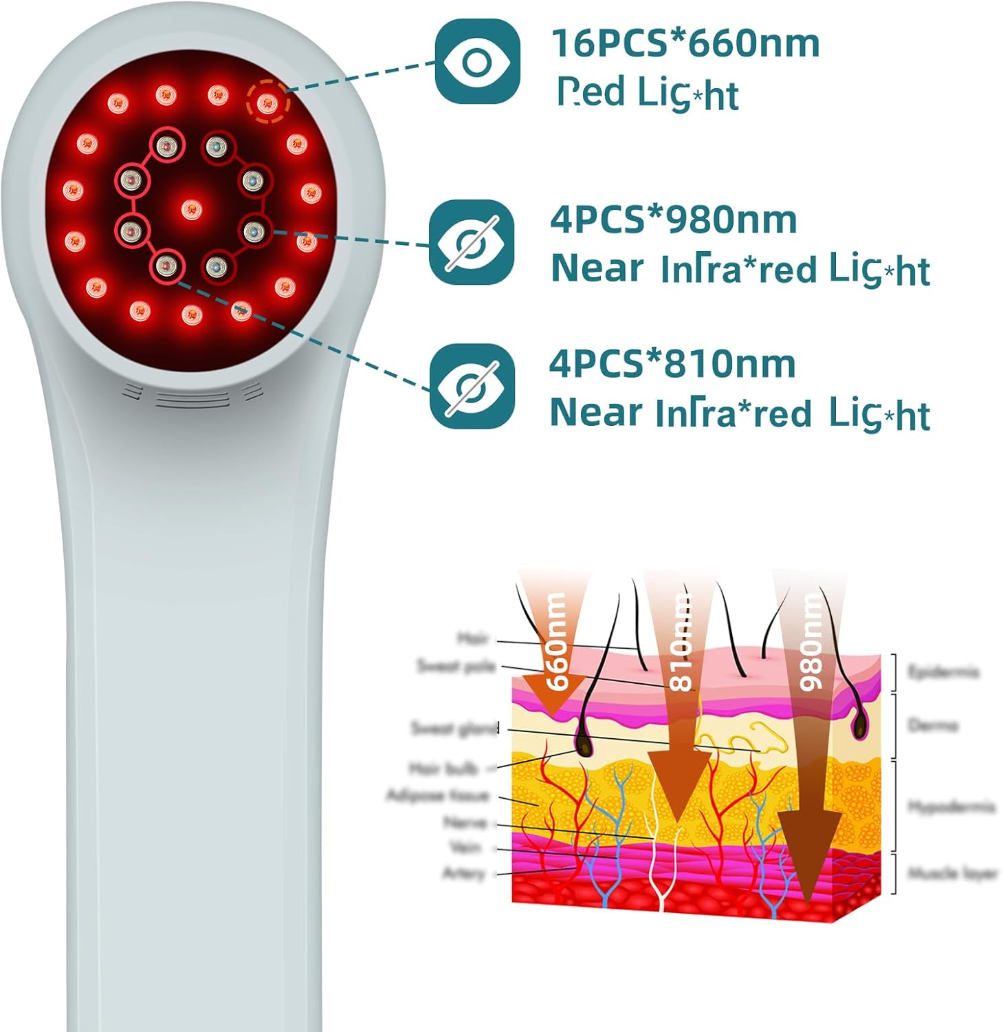 ed ight herapy Device for ain elief, 4X980Nm+4X810Nm+16X660Nm, Handheld Cold ight Device Machine for Relax，Portable near nfrared ight Wand for Pet Dogs Cats at Home