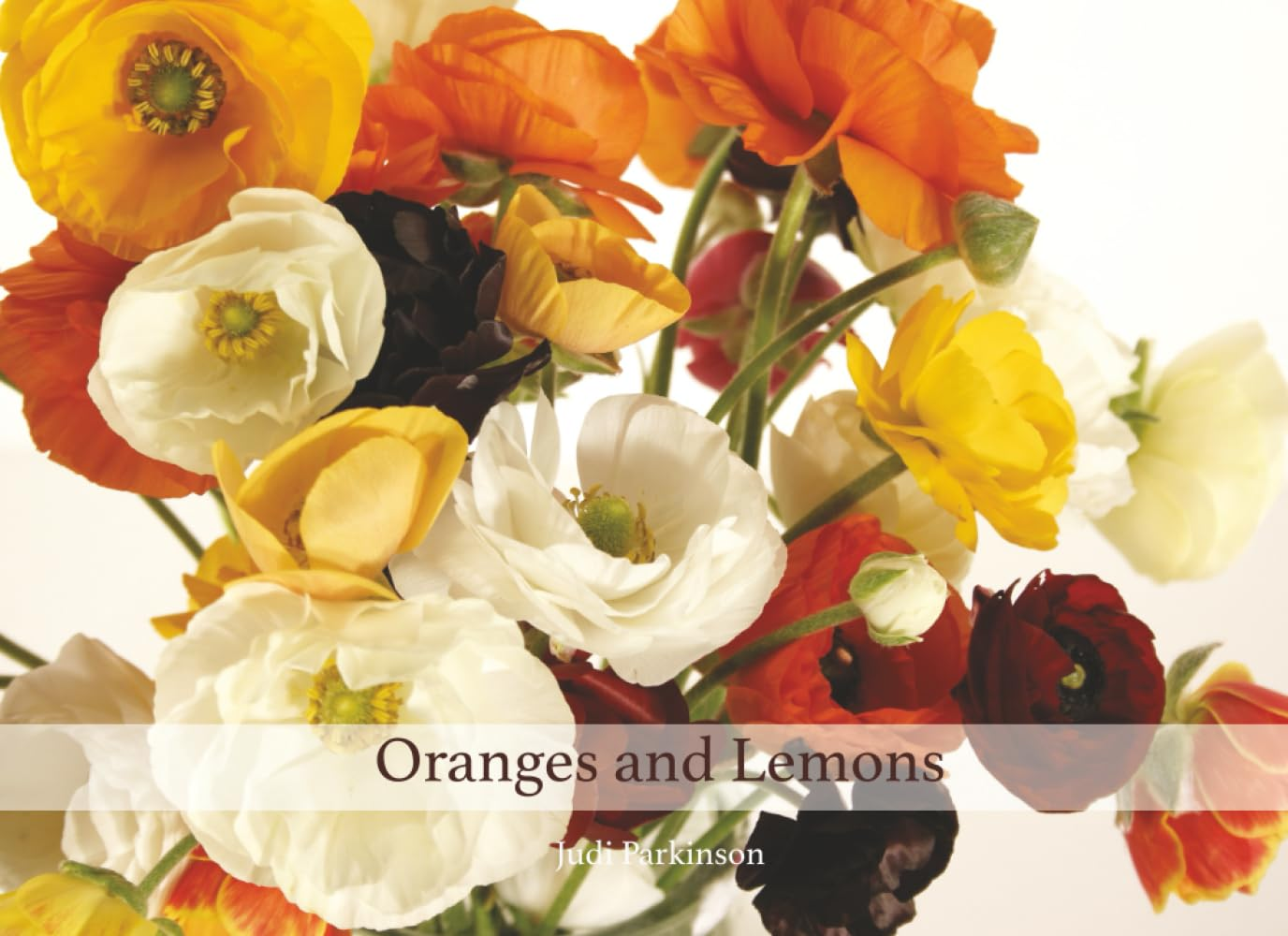 Oranges and Lemons: a Share-Time Picture Book for Reminiscing and Storytelling: Volume 7