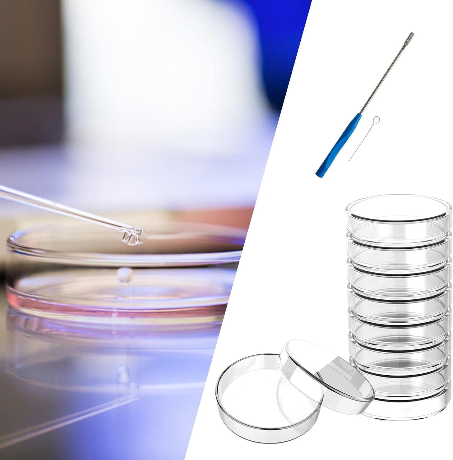 10X High Borosilicate Glass Petri Dishes with Lids Culture Dishes Easy to Observe Smooth Edge Stability Petri Plates for School Accessories, 90Mm image number 3