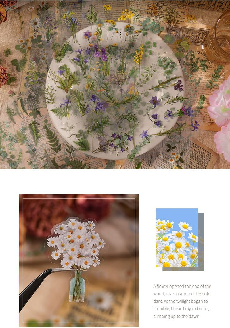 720Pcs /8Pack Supplies Stickers Vintage PET Transparent Decorative，Pretty Retro Floral Stickers Set for Scrapbooking,Journal,Arts, DIY Craft, Album, Phone Case image number 2