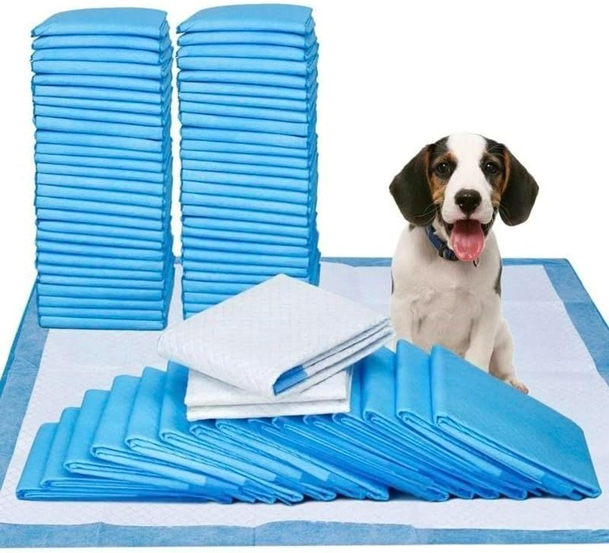 Basics Dog and Puppy Pee Pads with Leak-Proof Quick-Dry Design for Potty Training, Standard Absorbency, Regular Size, 23.6X 23.6 Inches, 40 Pcs, Blue & White image number 6