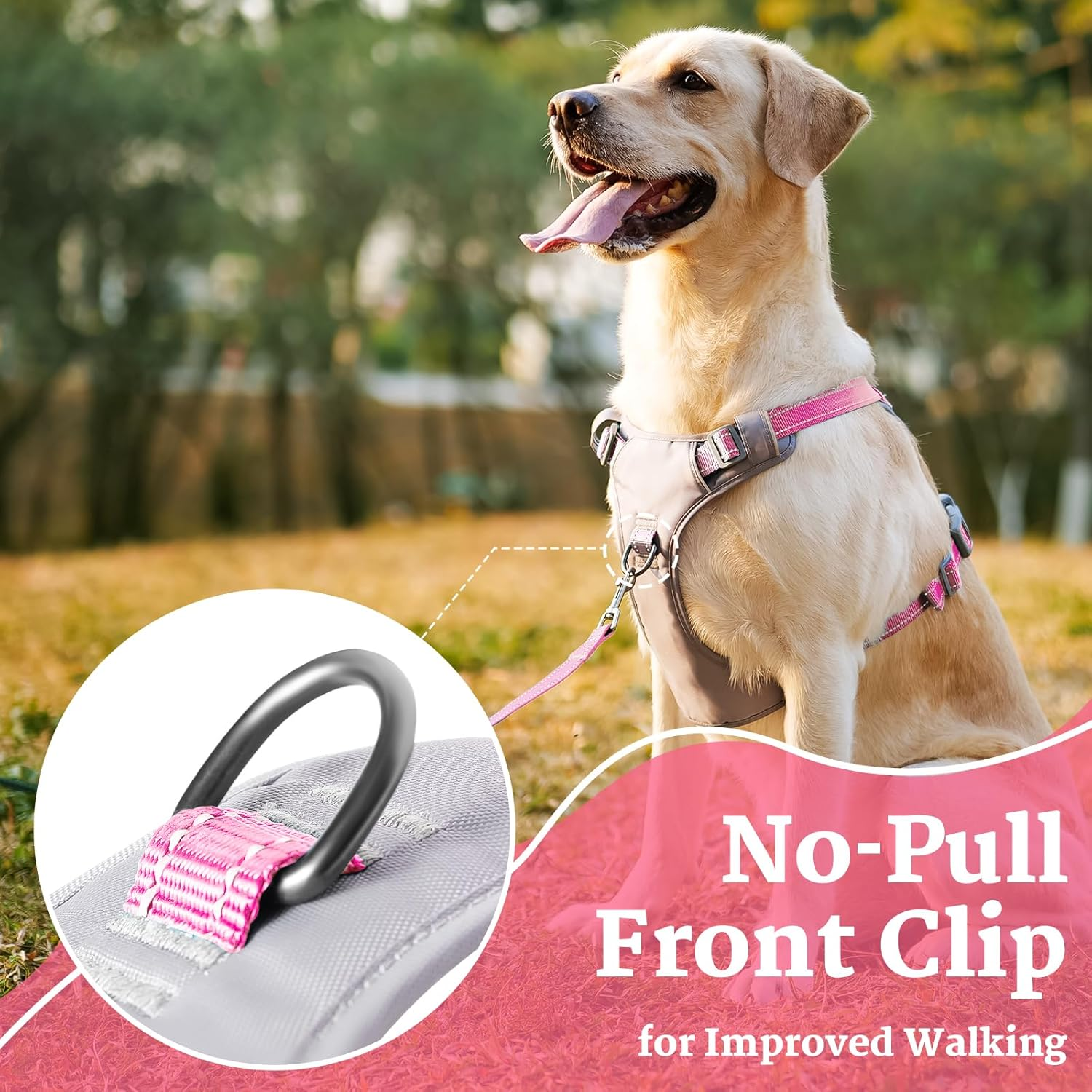 Huntboo No-Pull Dog Harness, Fully Reflective Vest with 2 Leash Clips, No-Choke, Adjustable, Breathable & Durable for Small, Medium & Large Dogs Walking, Training, Running (Light Pink, L) image number 2