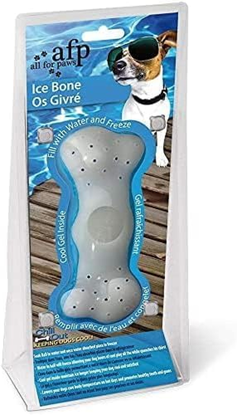 All for Paws Chill Out Ice Bone Dog Chew Toy image number 4