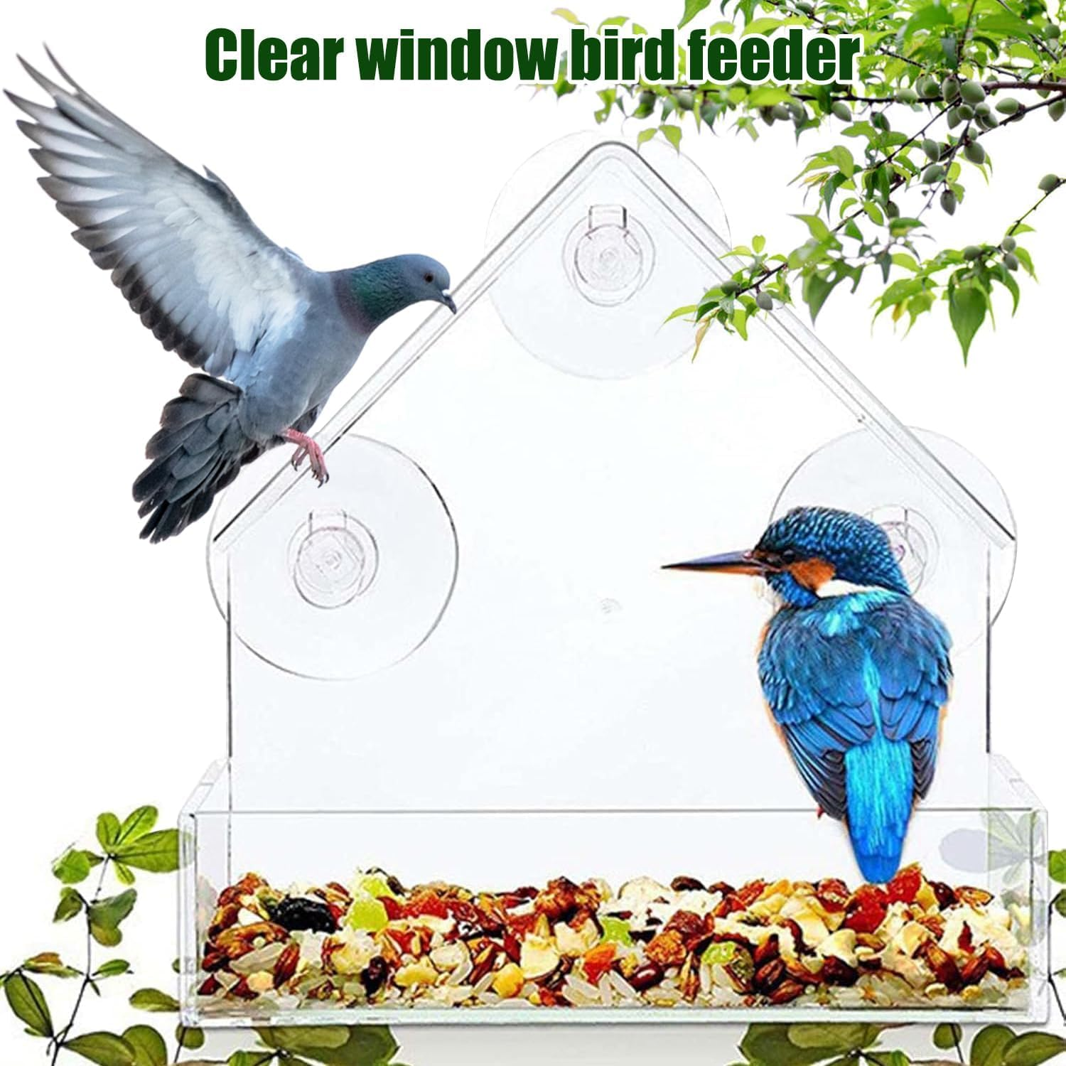 Window Bird Feeder &ndash; Clear Acrylic Bird Feeder, See-Through Design for Close-Up Bird Watching, Easy to Install & Clean image number 4