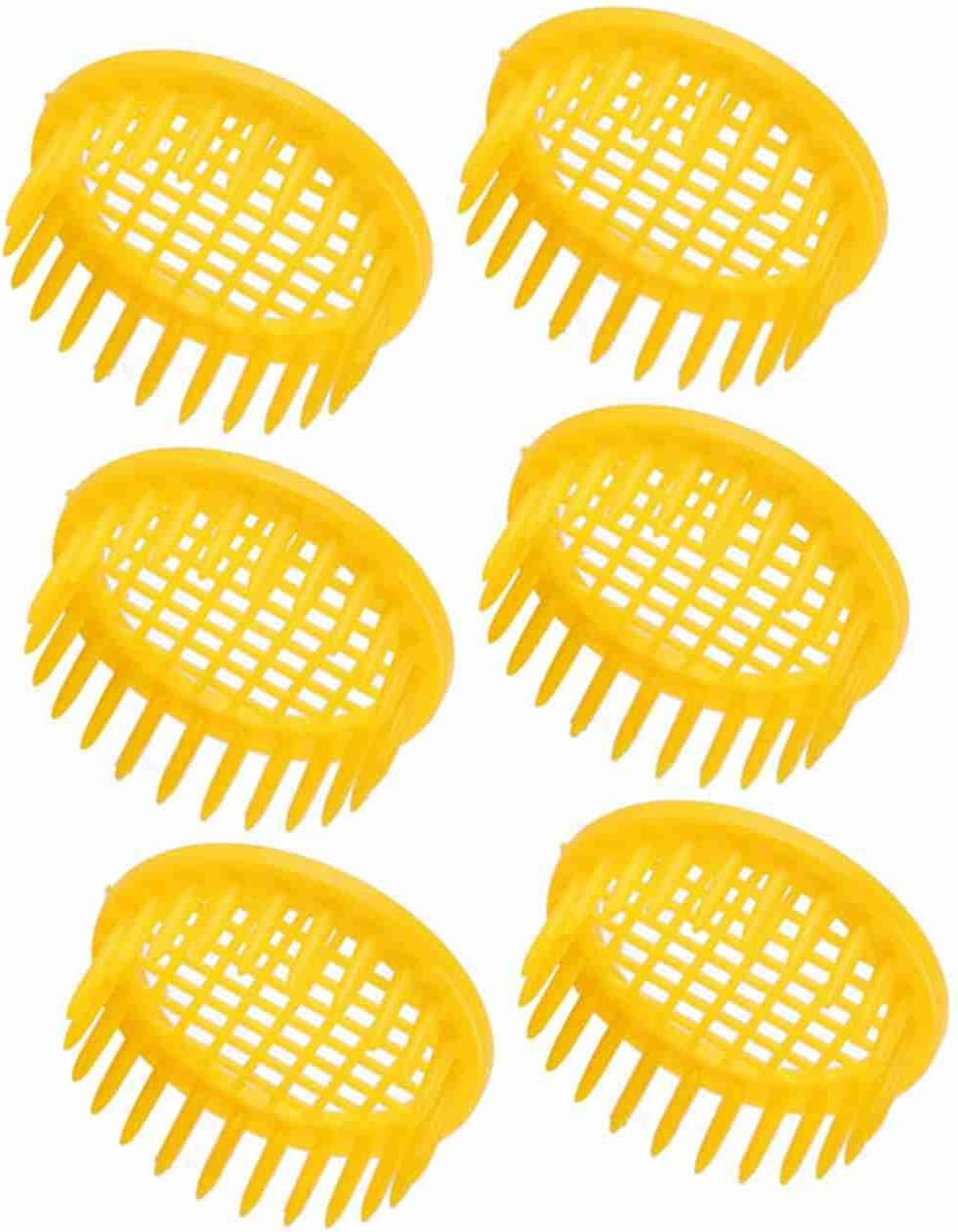 Bee Rearing Box Cell Beekeeping Equipment - 6 Pcs Bee Rearing Box, Beekeeping Tools for Isolation image number 4