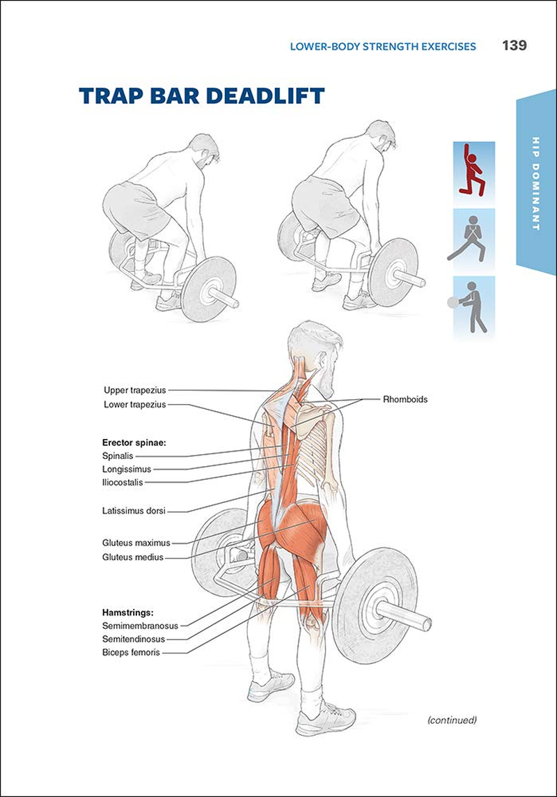Functional Training Anatomy image number 6