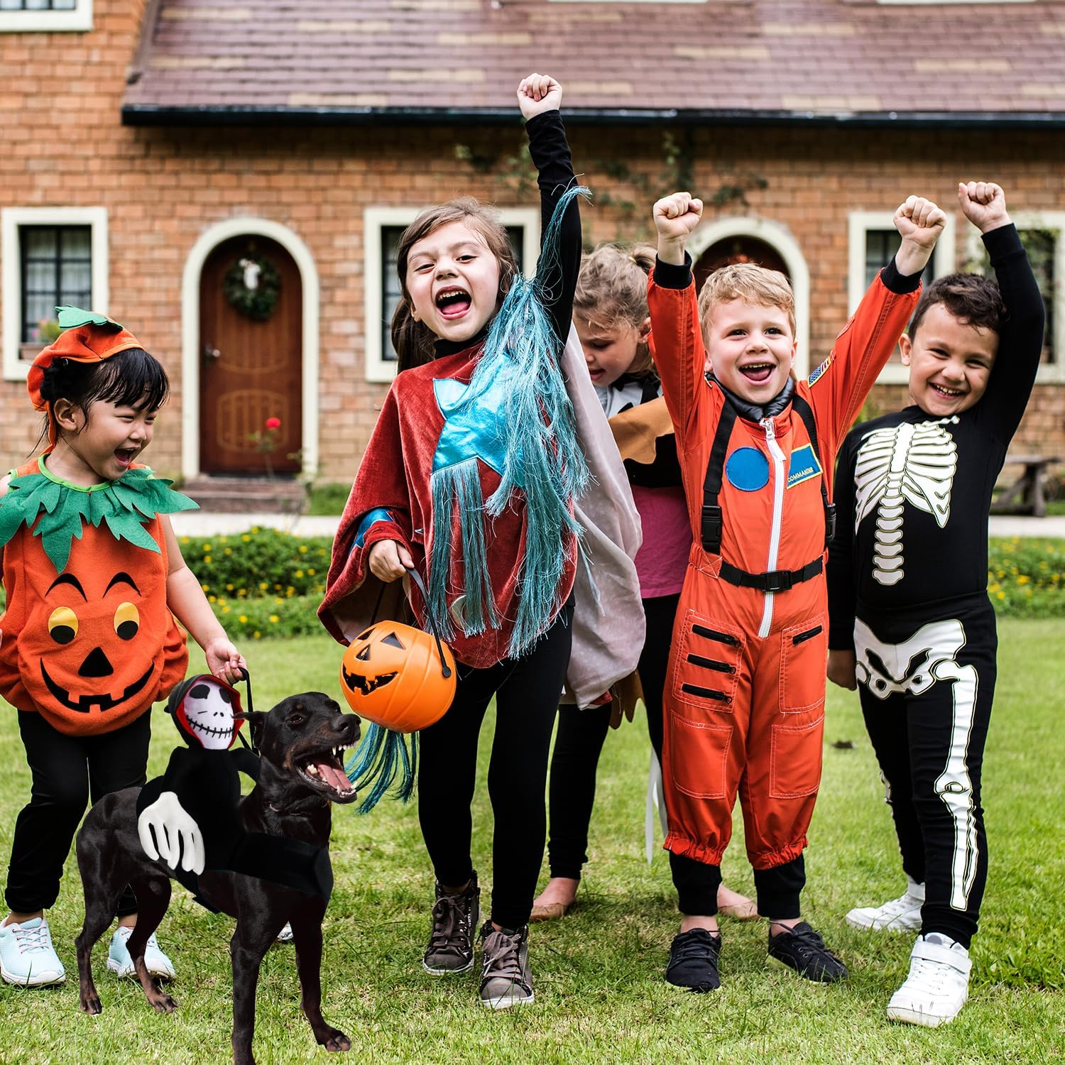 Rider Dog Costume, Dog Costume Halloween, Halloween Pets Party Cosplay Clothing, Pet Dogs Halloween Rider Costume, Ghost Rider, Halloween Grim Reaper Dog Costume (L) image number 1