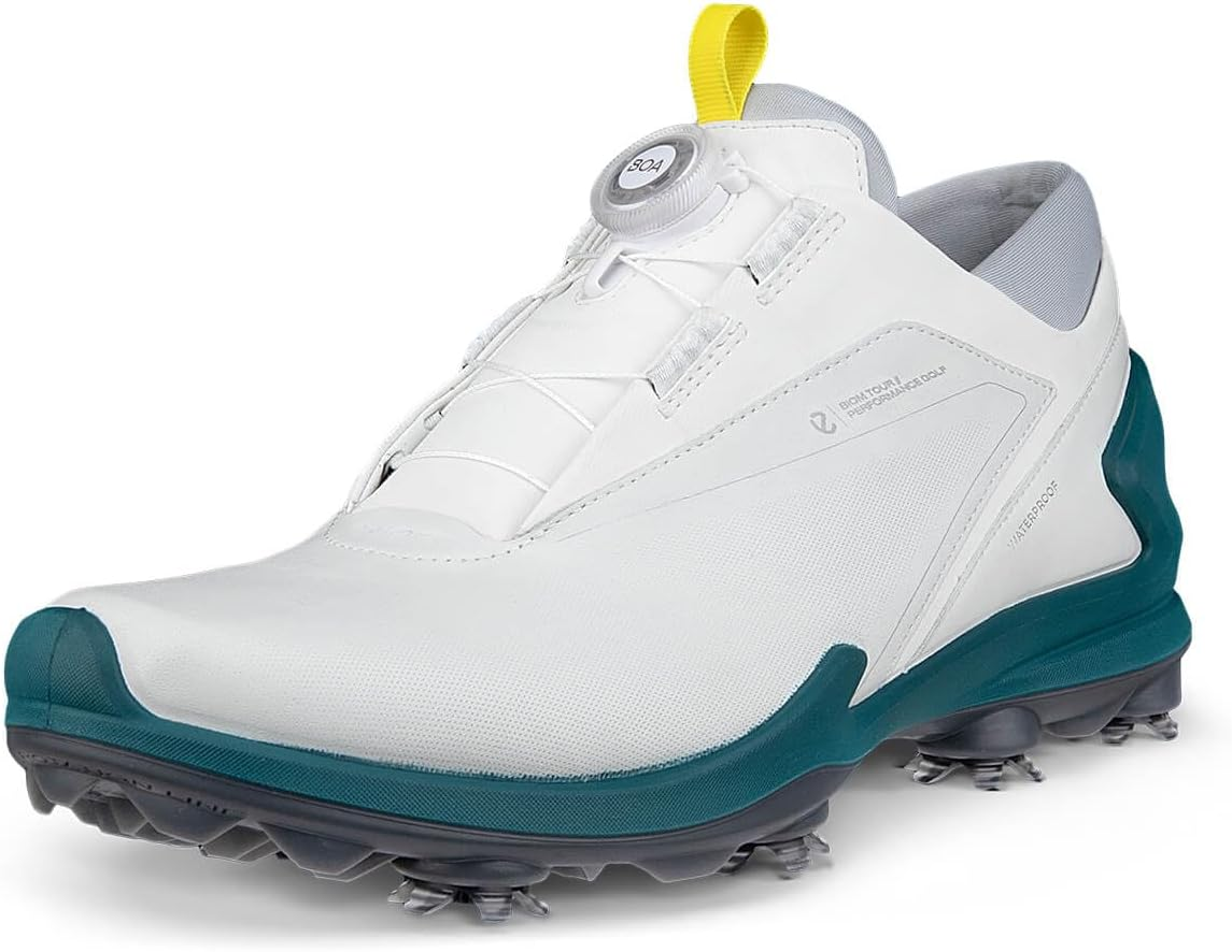 ECCO ECCO image number 1