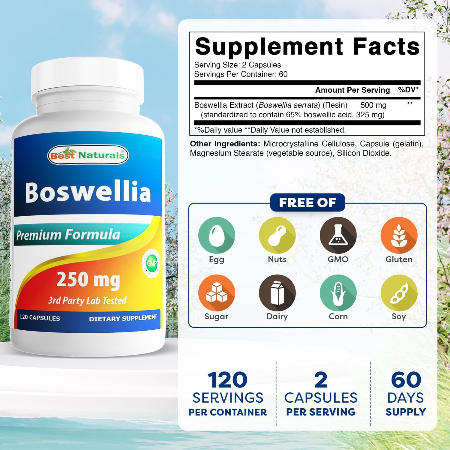 Best Naturals Boswellia Serrata Joint Health 250 Mg 120 Capsules - Standardized to 65% Boswellic Acid image number 5