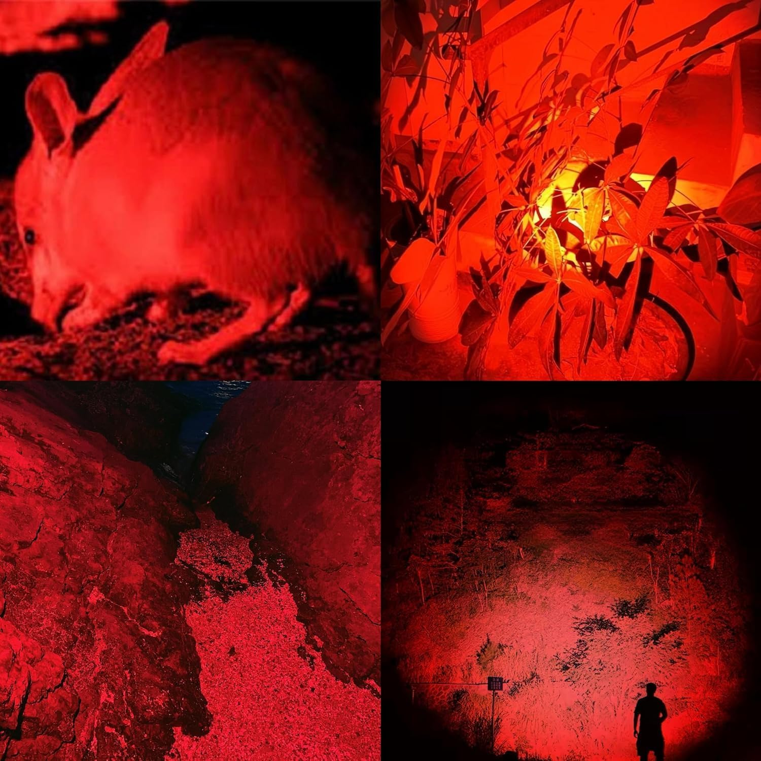 HYVCZP Red Light Flashlight,Adjustable Focus LED Torch,4 Lighting Modes,Super Bright,Waterproof Pocket Size,Lightweight Small Torch for Power Cut,Emergency, Camping, Hiking,Night Fishing,Outdoor image number 6