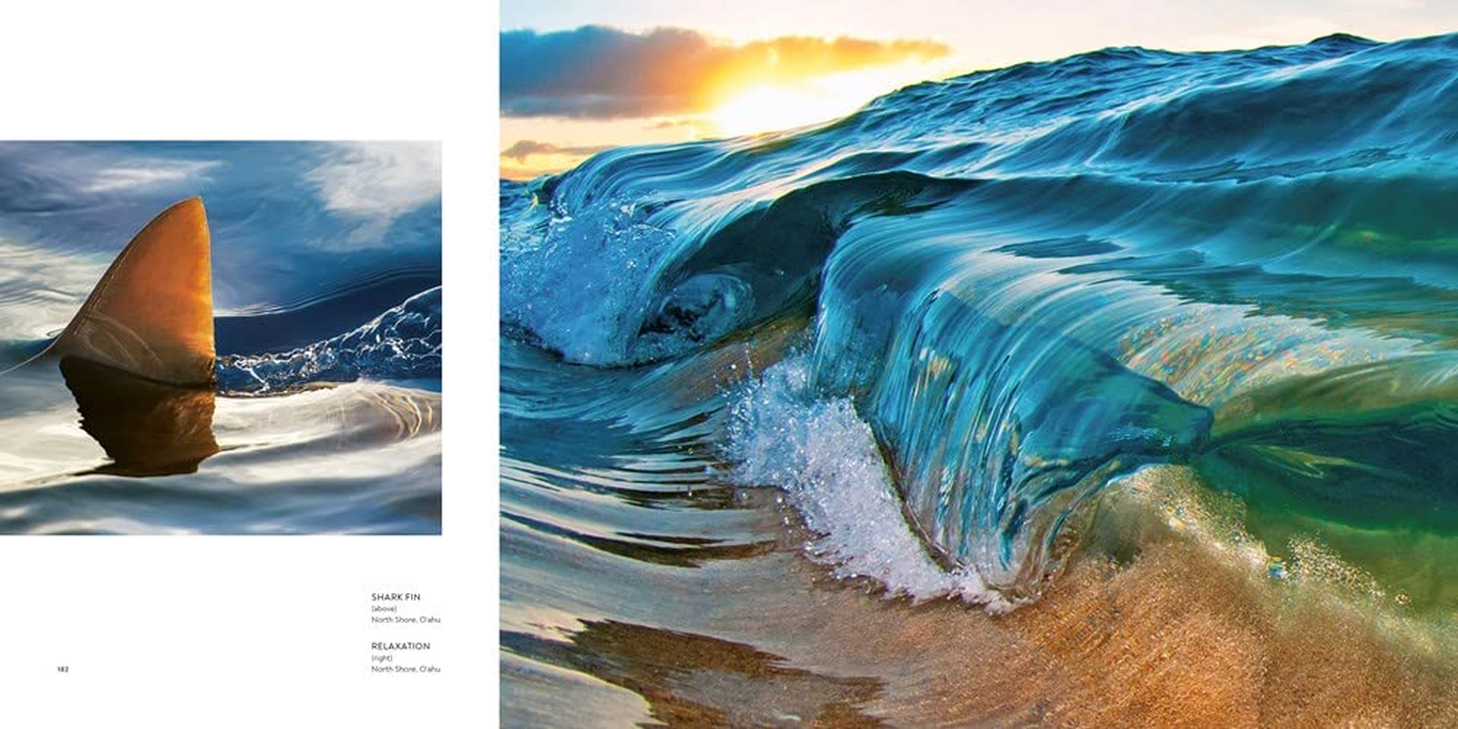 Clark Little: the Art of Waves image number 5