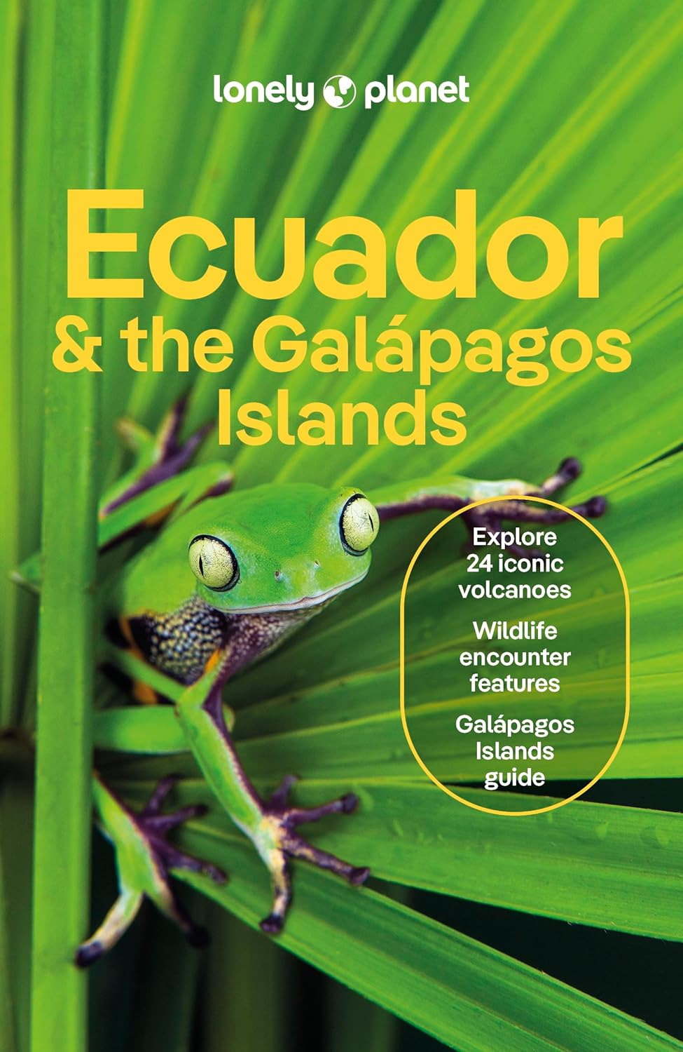 Lonely Planet Ecuador & the Galapagos Islands image number 4
