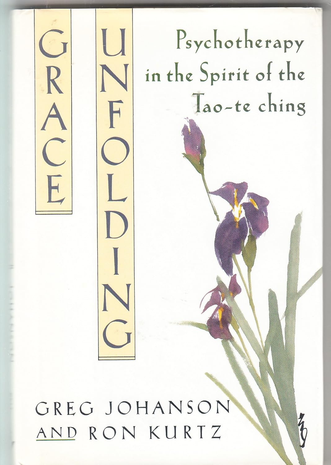 Grace Unfolding: Psychotherapy in the Spirit of Tao-Te Ching image number 1
