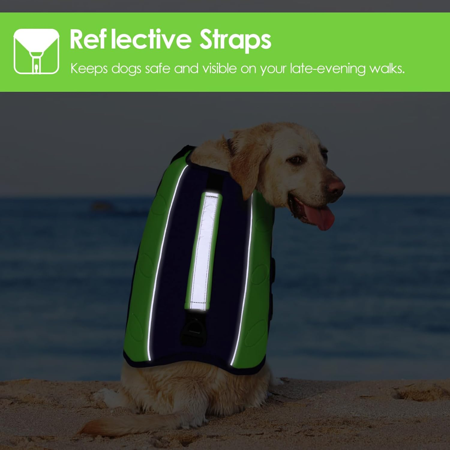 AOFITEE Ripstop Dog Life Jacket for Small, Medium, Large Dogs, Reflective Life Jacket Dog for Swimming, Boating, Adjustable Dog Life Jacket with Rescue Handle and Superior Buoyancy image number 5