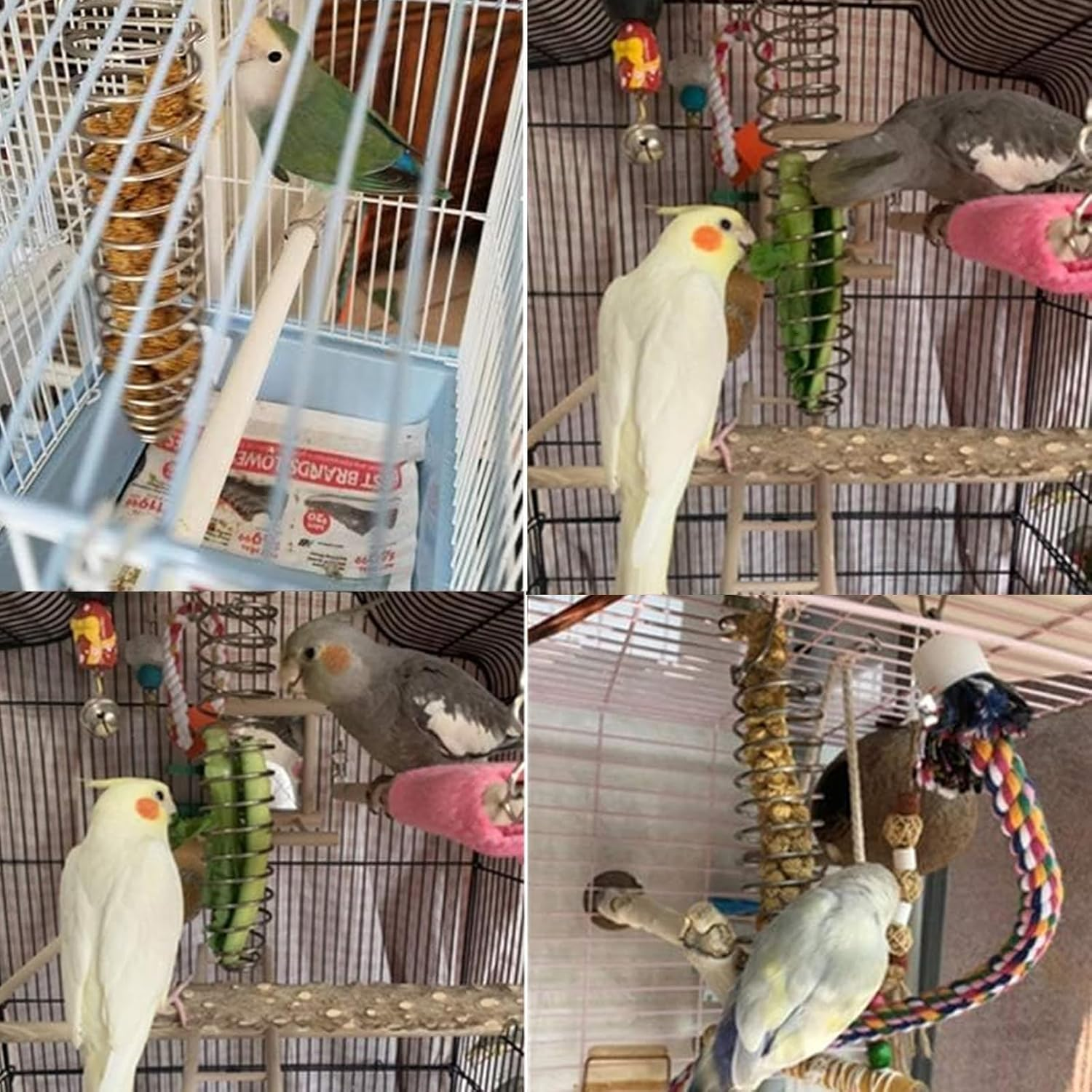 Bird Foraging Toy Feeder Parrot Treat Fruit Vegetable Seed Holder Feeder Food Basket Tool Stainless Steel Cage Accessories for African Grey Conure Parrots Cockatoo Parakeet Cockatiel image number 2