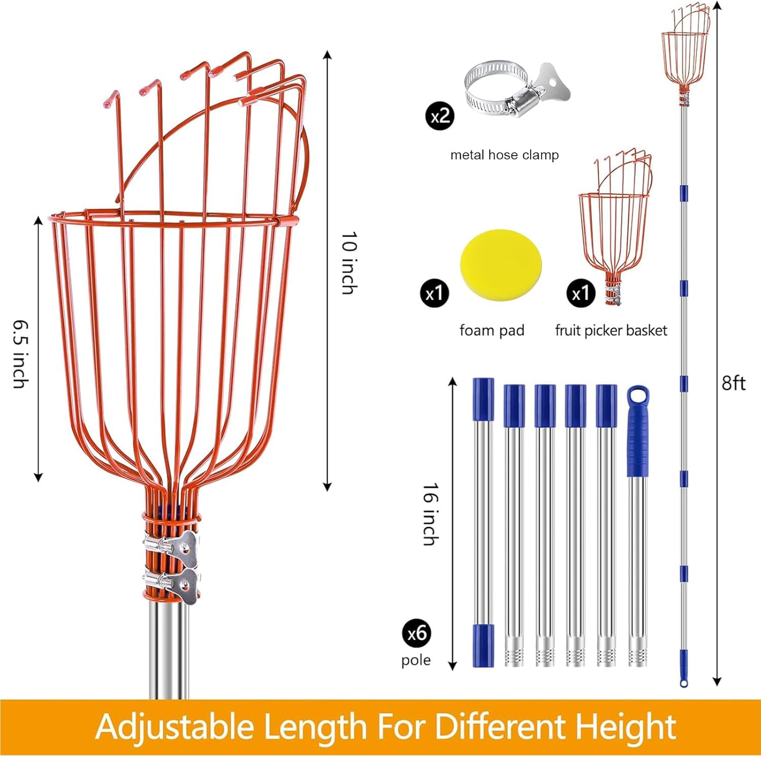 Fruit Picker Pole Tool with Basket Telescoping Long Handle,8 FT Adjustable Stainless Steel Handle,Apple Orange Picker Pole Tool with Basket for Avocado Acorn Lemon Pear Mango Tree Picker image number 2