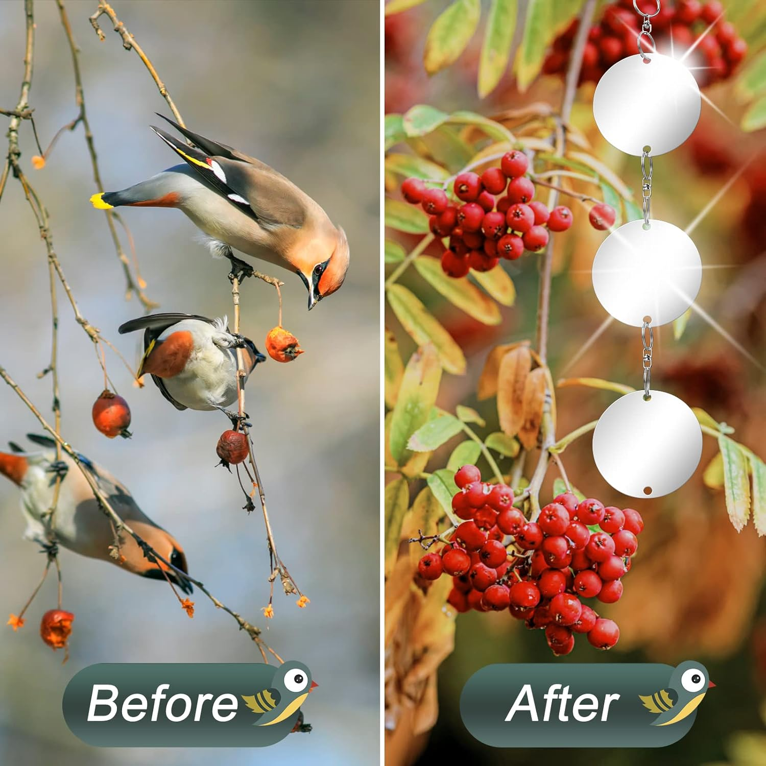 GWHOLE 6 Pack Bird Scare Discs Bird Repellent Reflective Discs Bird Deterrent Keep Birds Away image number 4