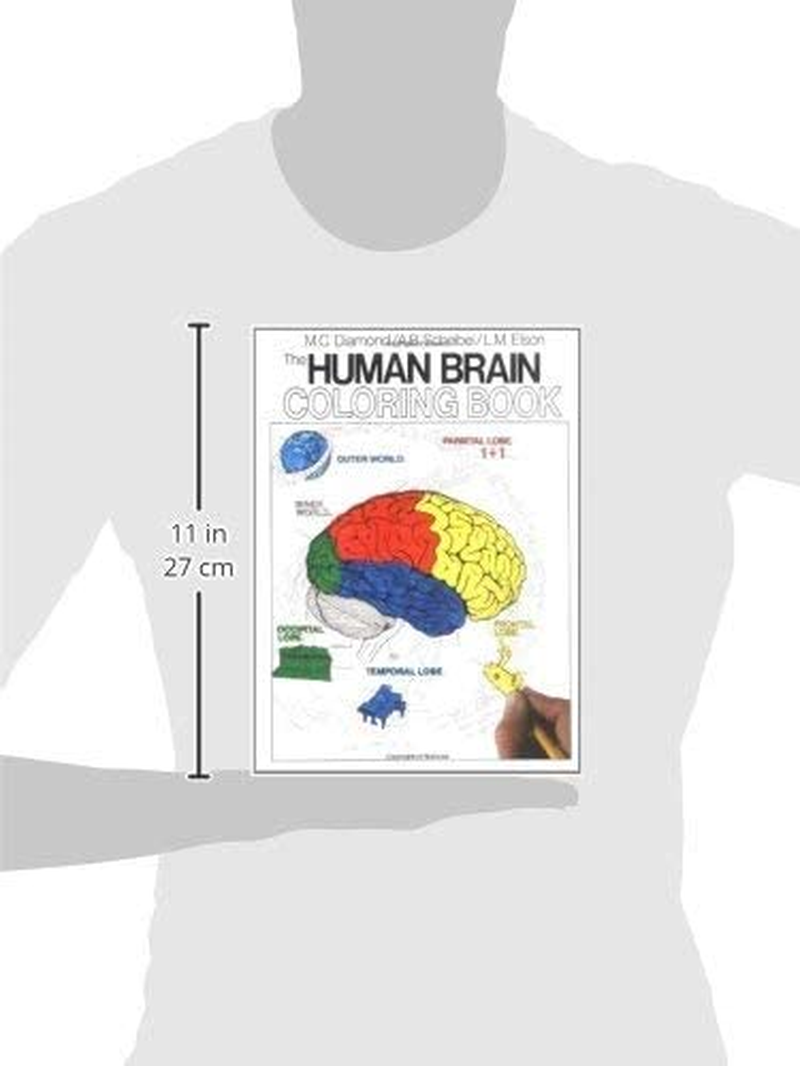 Human Brain Coloring Book
