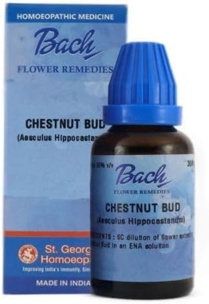CHESTNUT BUD 100 ML STGEORGE
