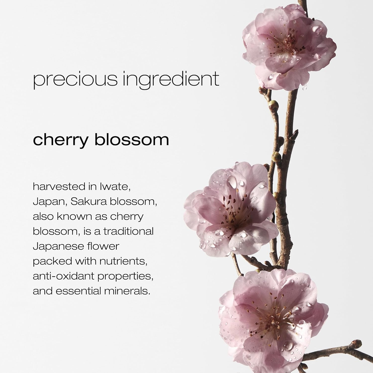 Shu Uemura Delicate Comfort Deep Cleanser 400Ml/13.4Oz