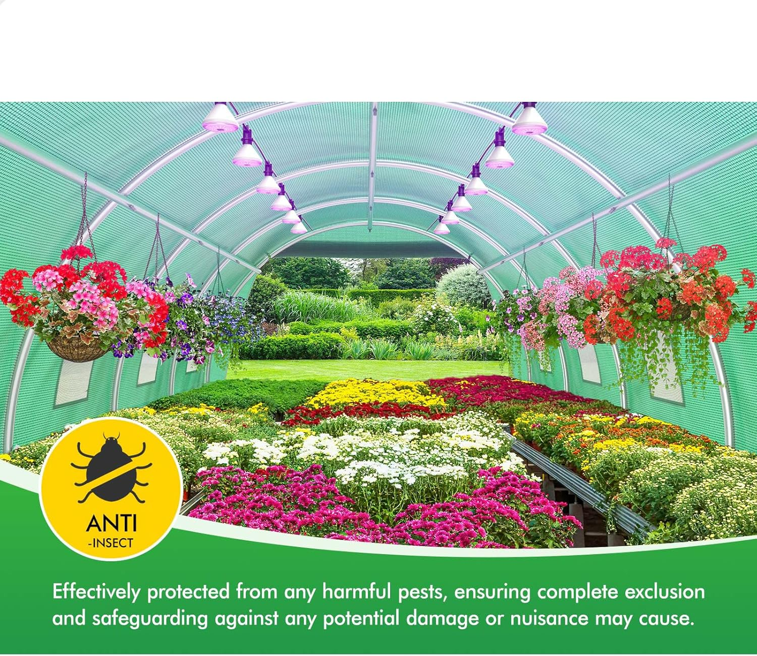 ALFORDSON Walk-In Tunnel Greenhouse with Sturdy Steel Frame, Green House Grow Tent with Insect-Proof Mesh Windows, PE Cover & Zip Roll-Up Doors for Plants & Flowers, 6X3X2M image number 2