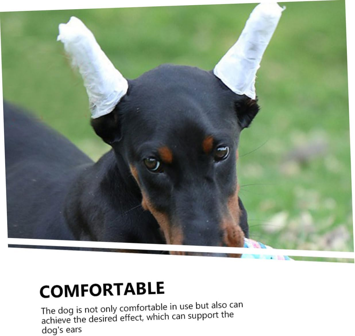 GANAZONO 1 Set Tool Puppy Ear Support for Pets Dog Ear Tape Standing Band for Dog Ears Dog Accessories Puppy Doberman Pinscher Ear Plugs Soft Suite Foam image number 6