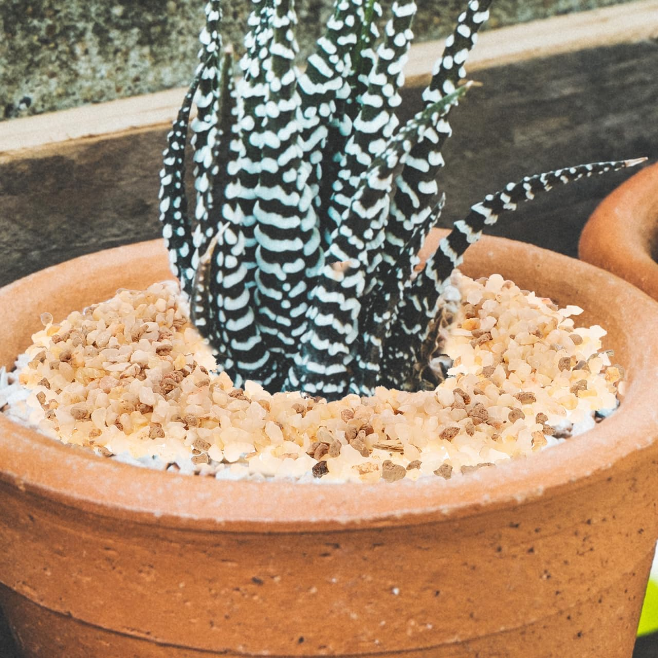 Succulent Rocks and Decorative Pebbles for Planters, Small Crystal Gravel for Garden Stones, Landscaping Cactus Stone Mix for Outdoor Plant Terrariums image number 5