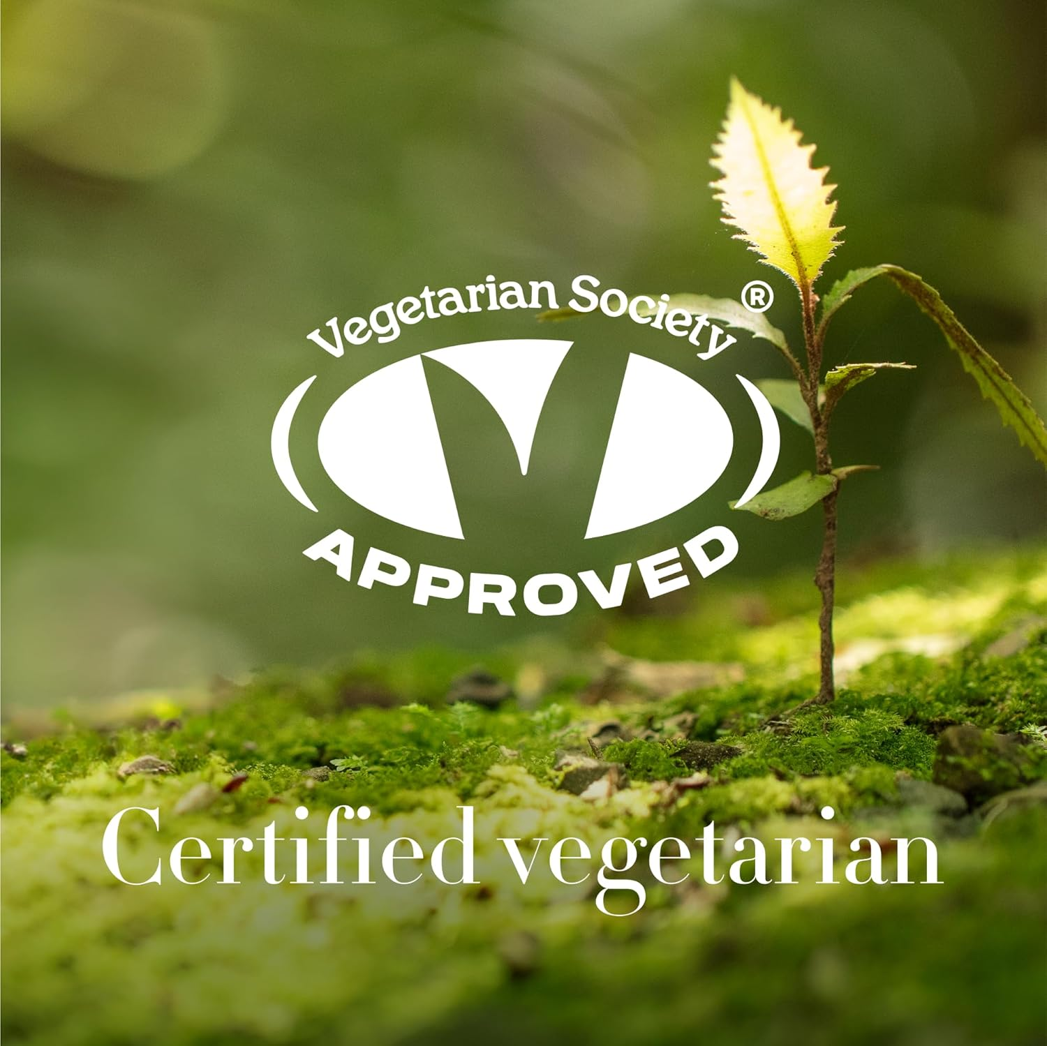 Antipodes Ceramide Souffl&eacute; Fresh Hydration Cream &ndash; 60 Ml | Light Whipped Moisturiser with Ceramides & Peptides | Supports Skin Barrier & Collagen image number 2