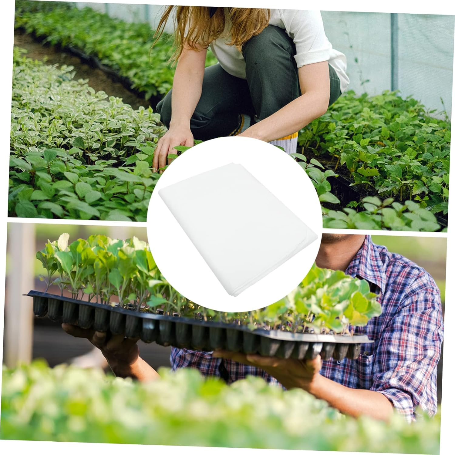 BCOATH 20Pcs Moisturizing Protective Seedling Sprouting Kit Absorbent Cloths for Gardening Greenhouse Seed Mat image number 4