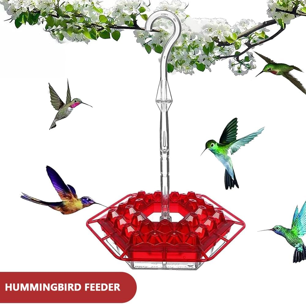 Ranqisys Glass Hummingbird Feeder for Outdoor Use &ndash; Red Hanging Feeder with Moat, Ant & Bee Resistant, Easy to Clean Bird Nectar Feeder for Garden image number 6