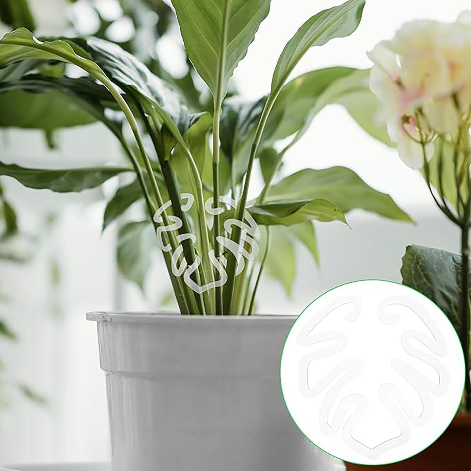 Plant Support 6PCS Anti-Collapse Magic Stem Holder Branch Collector Transparent Turtleback Bamboo Clip Transparent