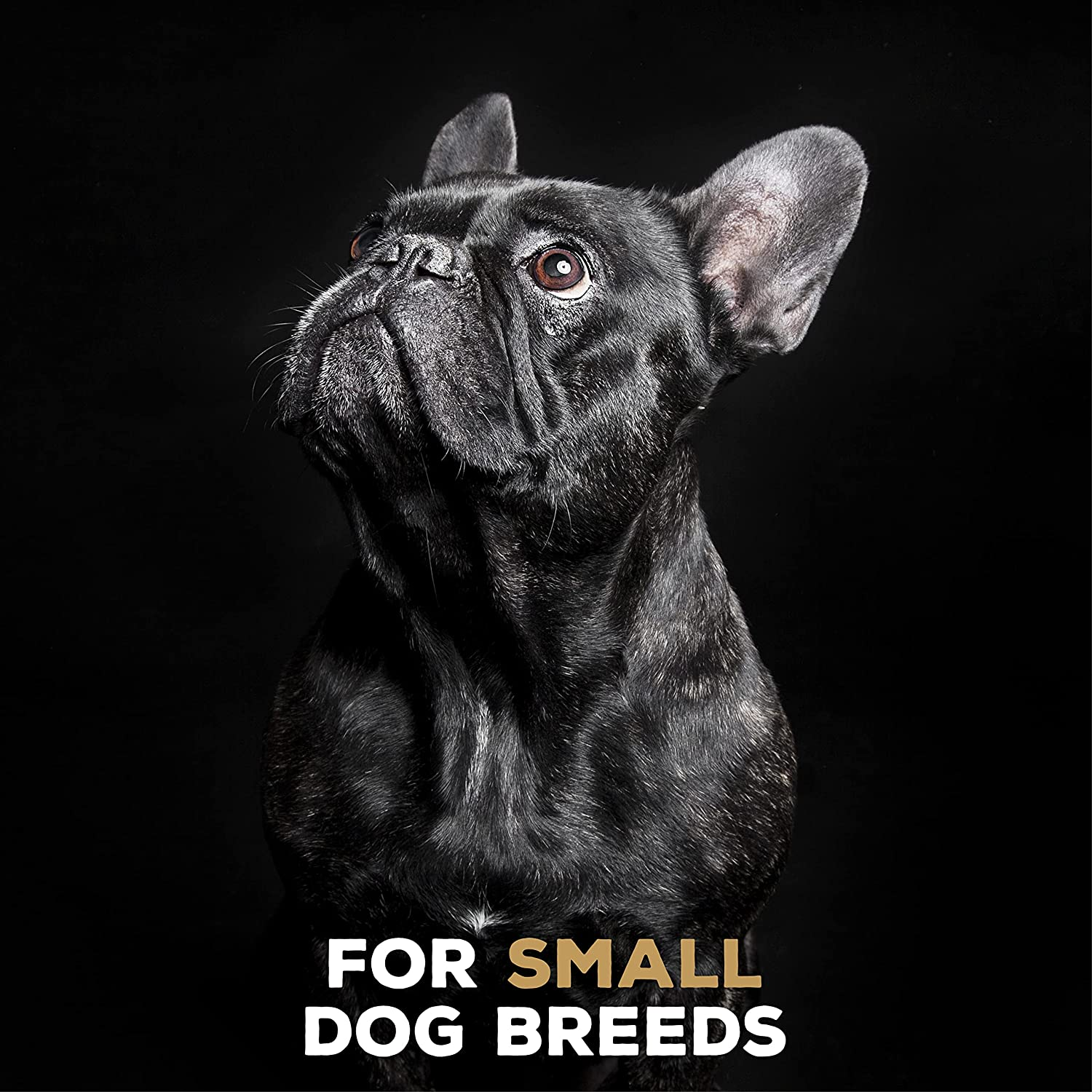 Tasty Bone Nylon Peanut Butter Dog Chew Toy Bone Small