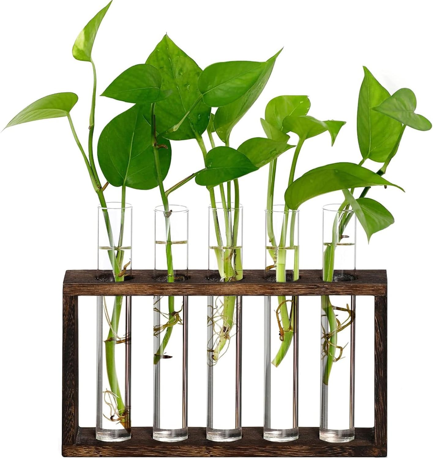 Hydroponic Plant Stand, Wall Hanging Test Tube Planter, Plant Terrarium with Wooden Stand and 5 Test Tubes, Tabletop Terrarium Planter for Home Office Decoration (Brown) image number 5