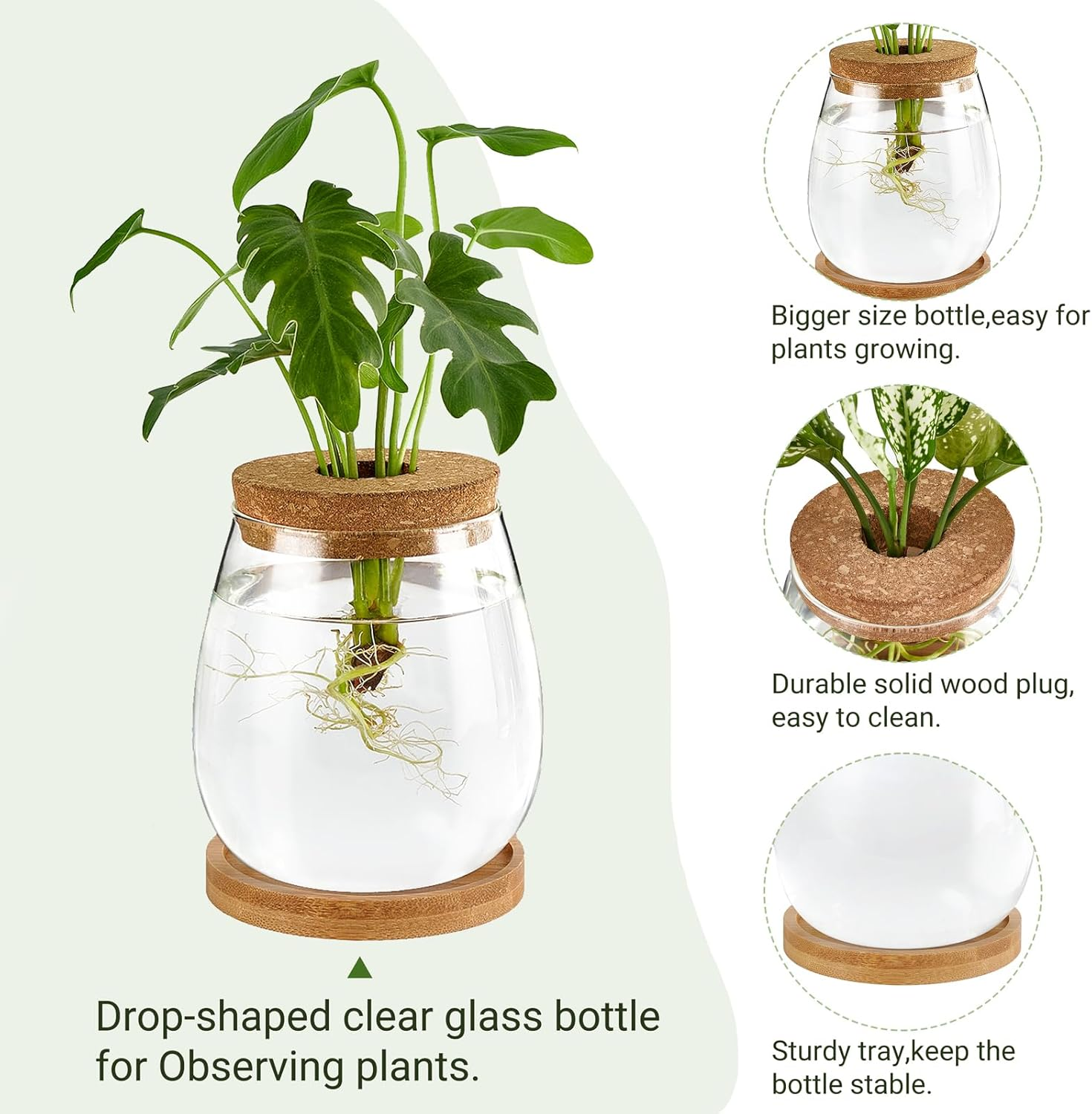 Dahey Plant Propagation Jars Plant Terrarium Glass Vase with Wooden Saucer and Cork Planter Station for Growing Hydroponic Plants Indoor Table Centerpirce Home Office Decor, Set of 2