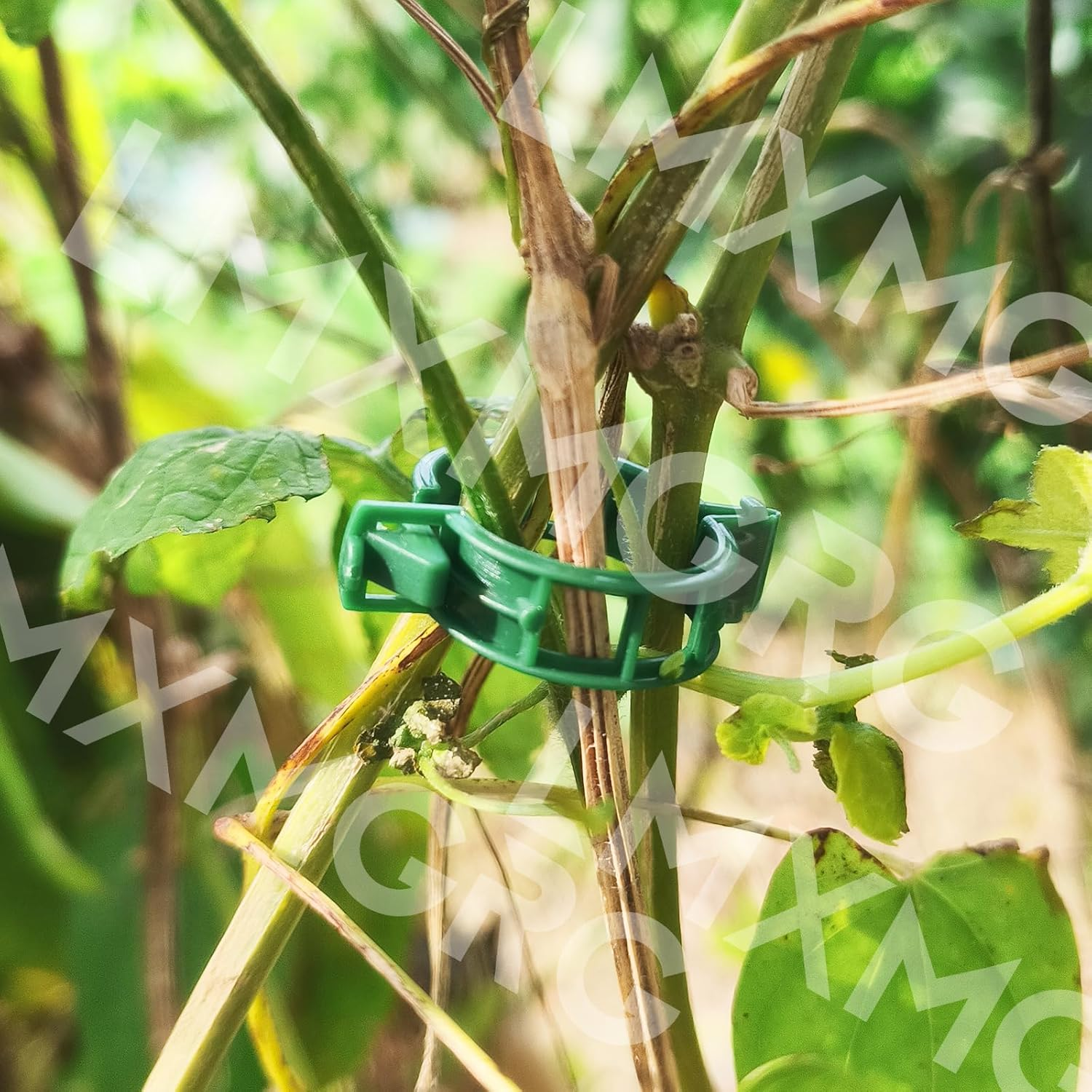 LMXMGRG Tomato Clips for Support 100Pcs,Plant Vine Clips for Climbing Plants,Small Plant Clips for Outdoor 2024 Upgrade image number 3