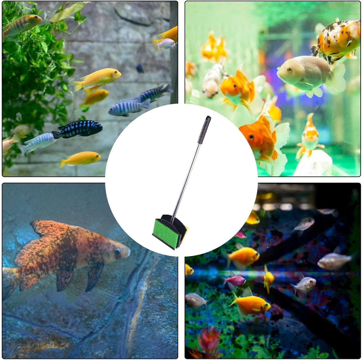 Fish Tank Cleaning Brush, Aquarium Cleaning Brush - Double Sided Cleaning Brush Cleaner | Aquarium Scrubber with Long Handle, Aquarium Brushes S image number 6