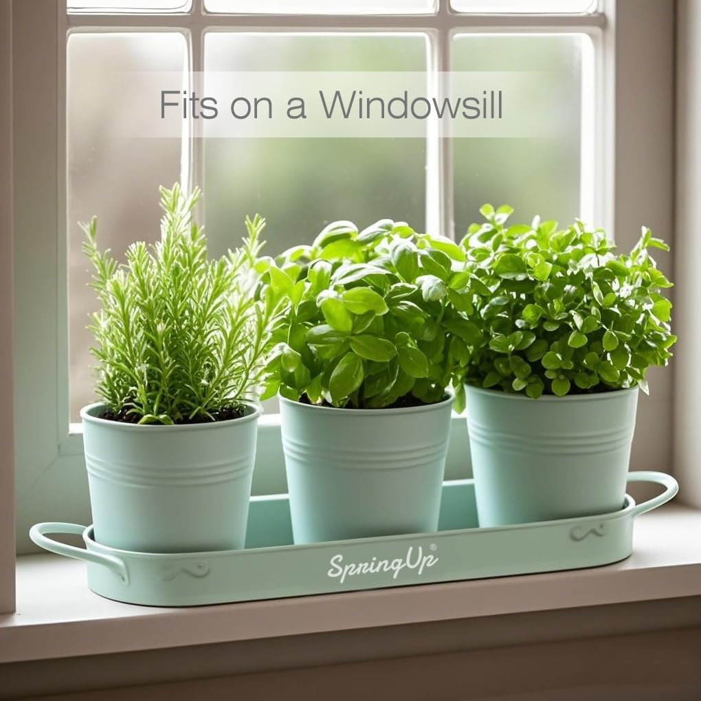 Springup 3 Pack Indoor Herb Garden Planter Set with Tray, Metal Farmhouse Windowsill Plant Pots with Drainage for Outdoor or Indoor Plants (Soft Mint) image number 5