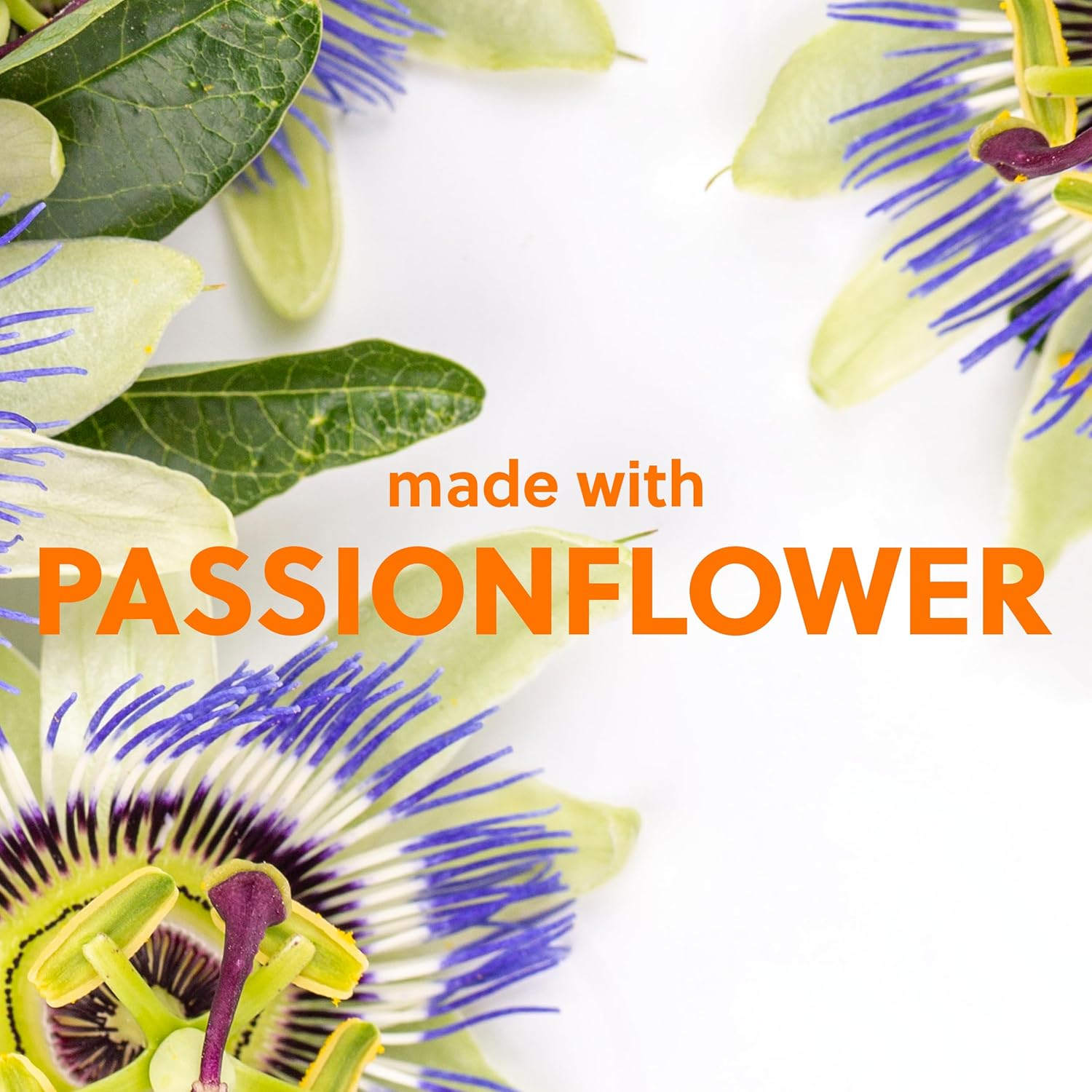 Tree Hut Golden Sands Shea Sugar Scrub, Exfoliating, Hydrating & Moisturizing Body Scrub with Shea Butter & Nourishing Essential Oils, Smooth & Soften Skin, 18 Oz image number 2