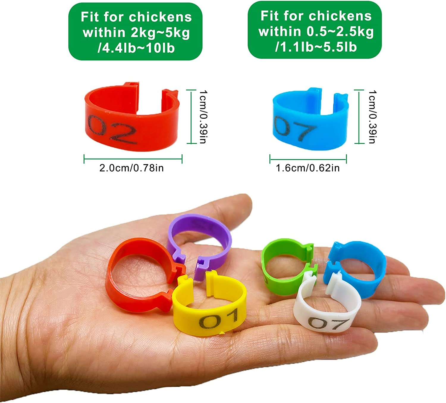 60PCS Numbered Chicken Leg Rings, 16 Mm, 20 Mm 6 Color 2 Sizes Clip-On Plastic round Identificaiton Tags Foot Loop Band, for Ducks, Seafige, Goose Wild Poultry, Turkeys image number 5