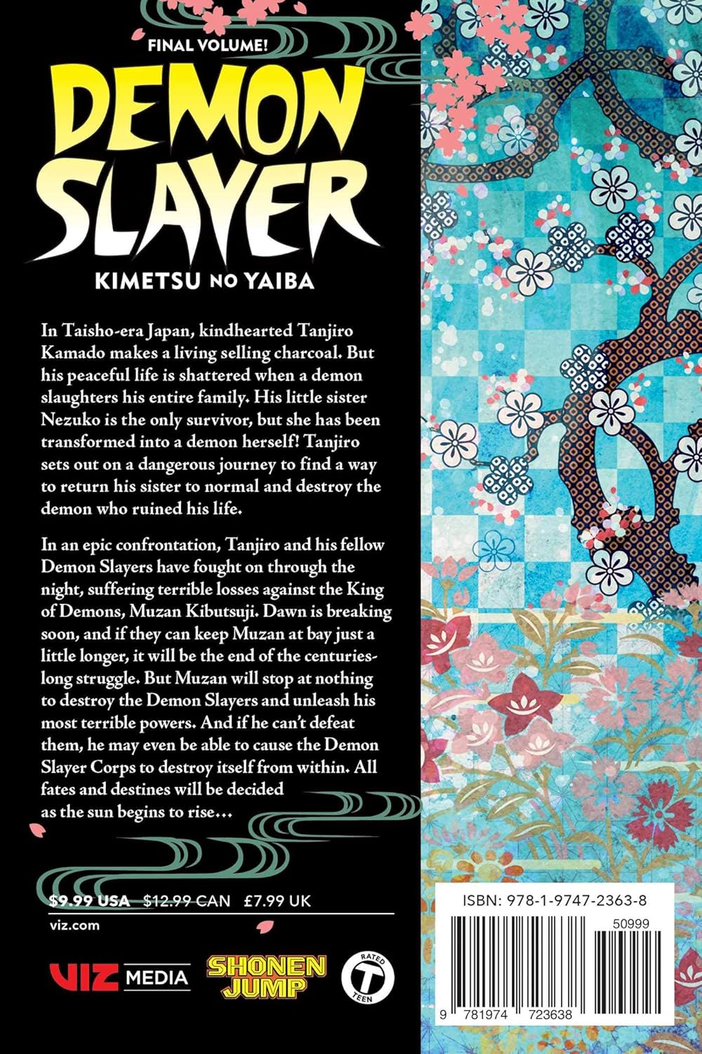 Demon Slayer: Kimetsu No Yaiba, Vol. 23 (Volume 23)
