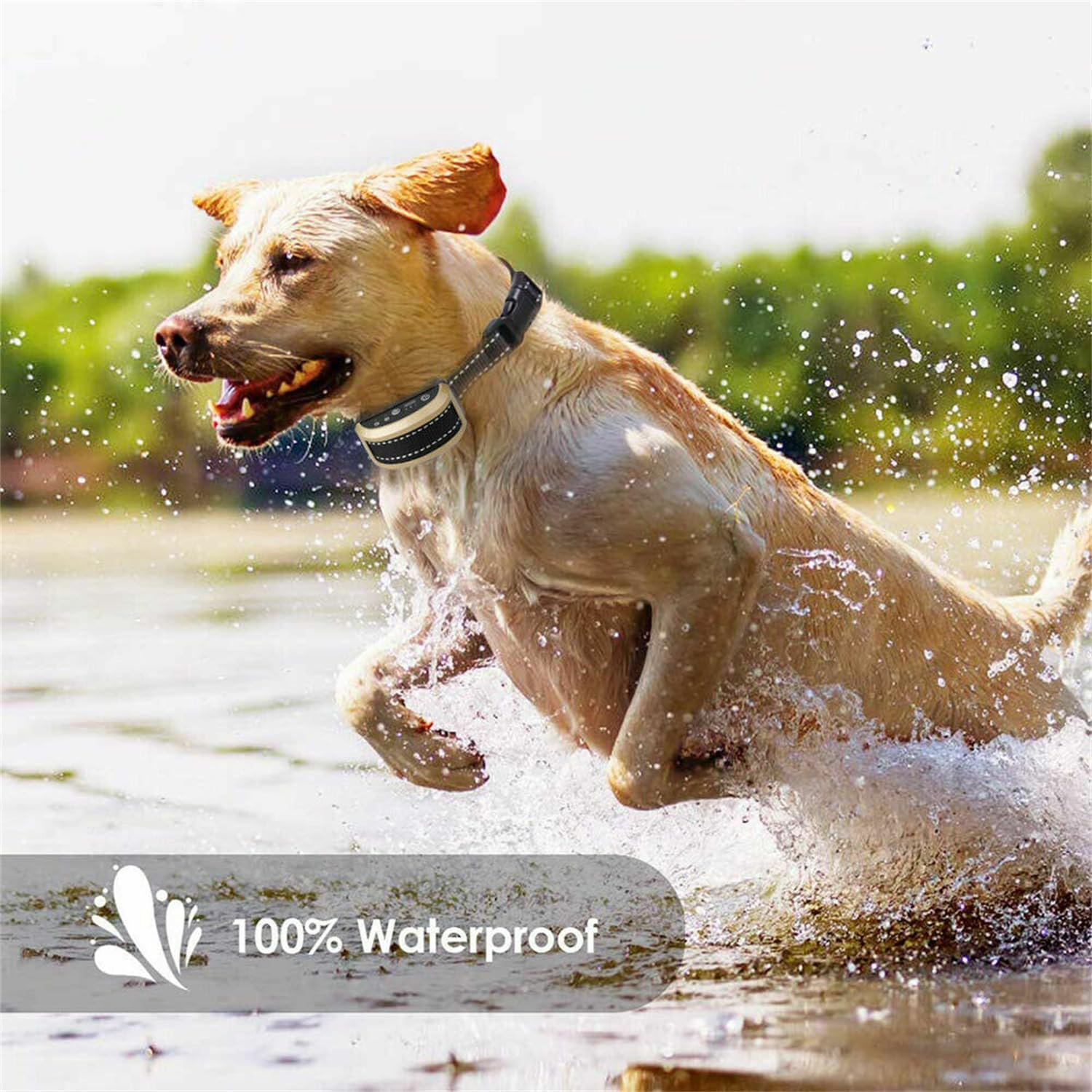 Leona Co Shock Collar, Bark and Training Collar Combo, Rechargeable Automatic No-Shock anti Bark Collar, Auto Stop Barking Trainer (Black Bone) image number 1