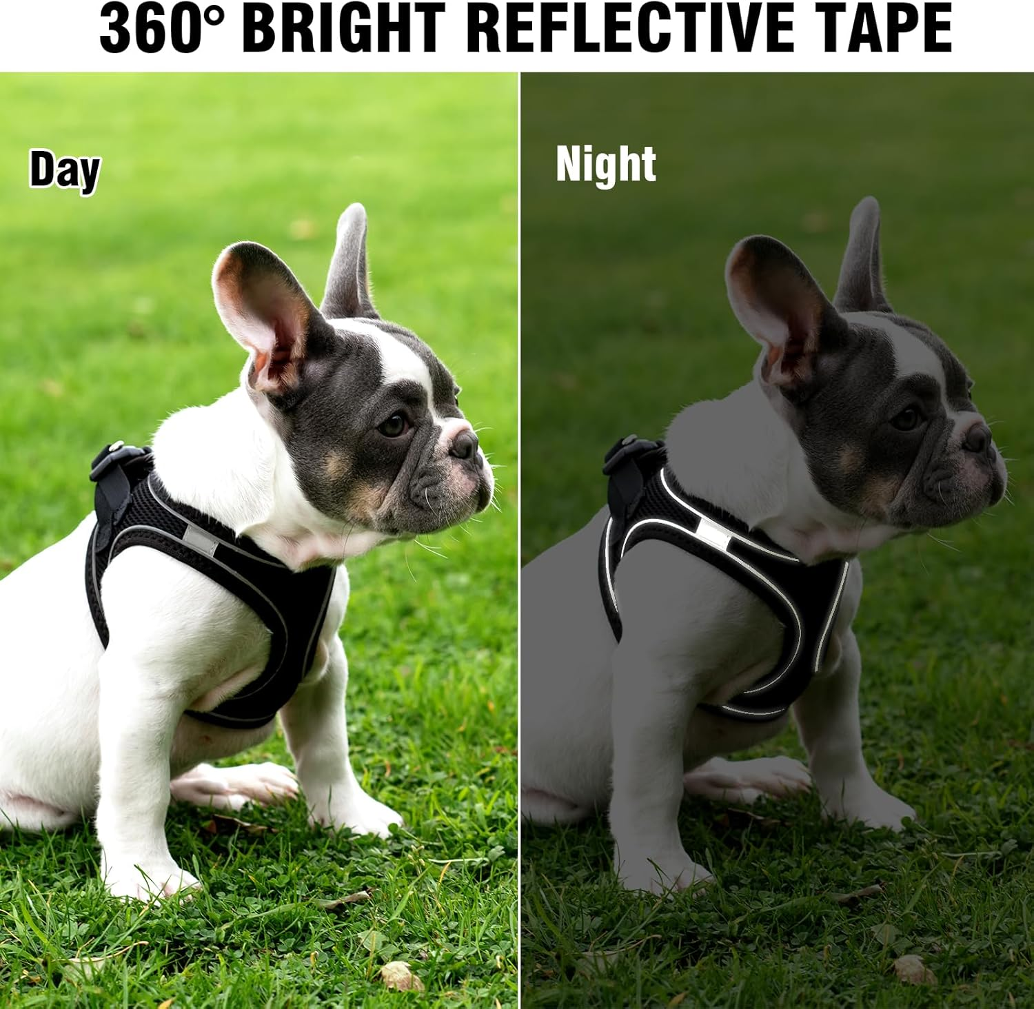 Breathable Cat Harness Set, Dogs Escape Proof Reflective Harness, Durable Adjustable Cat Harness with Lead, Cat Harness Escape Proof for Outdoor Walks (M, Black) image number 3