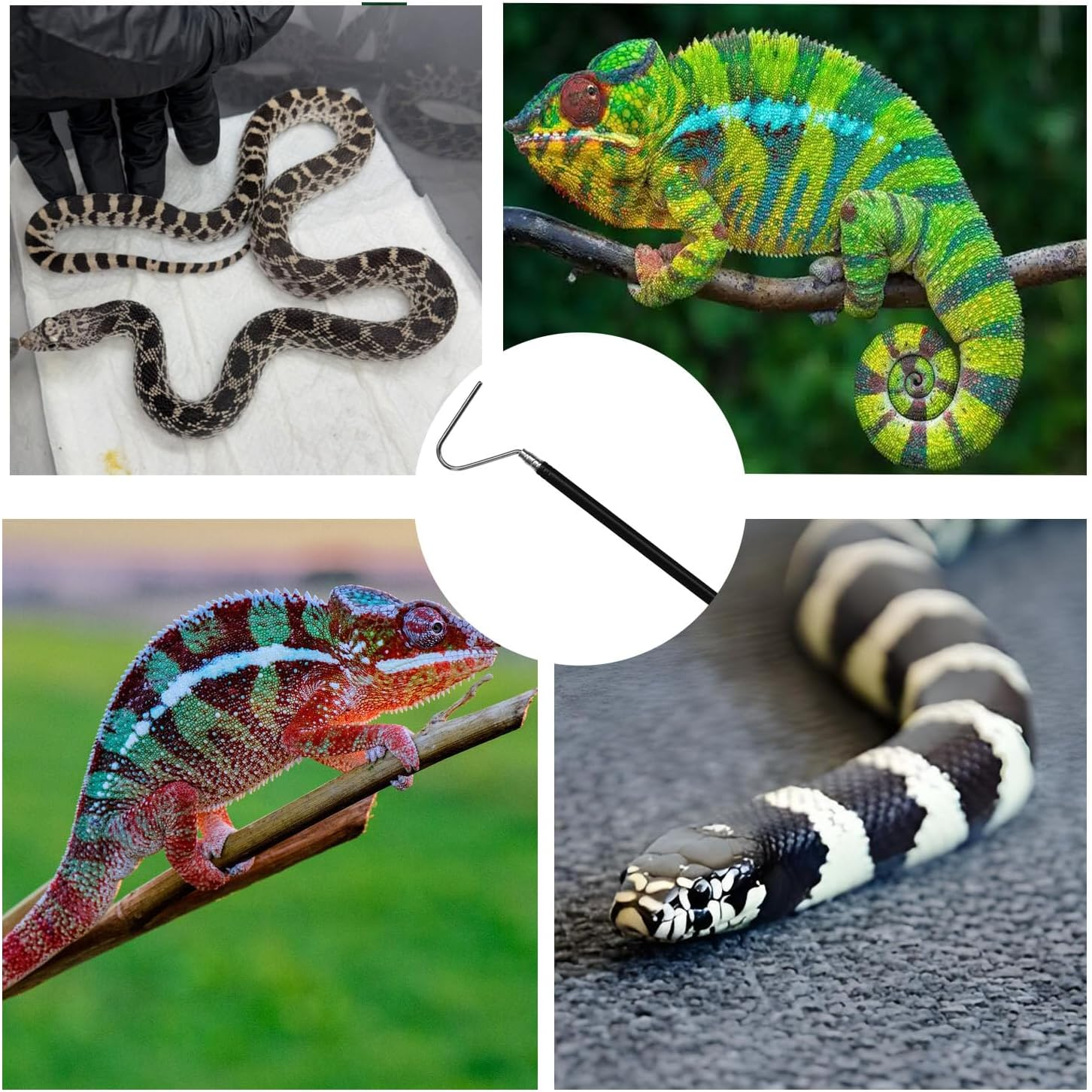 Shengsenfu Adjustable Stainless Steel Snake Hook, Extensible Snake Hook, Retractable Reptile Hook, Pick-Up Handling Tool, Extensible Grappling Hook, Pet Snake Accessories, Pool Skimmer Basket Hook image number 4