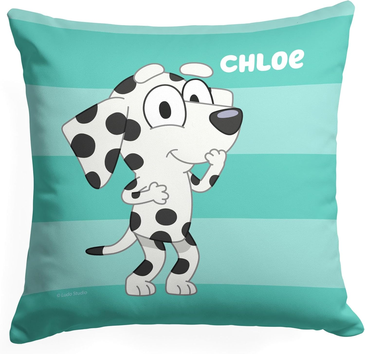 Northwest Bluey Pillow, 18" X 18", Roll Call Chloe