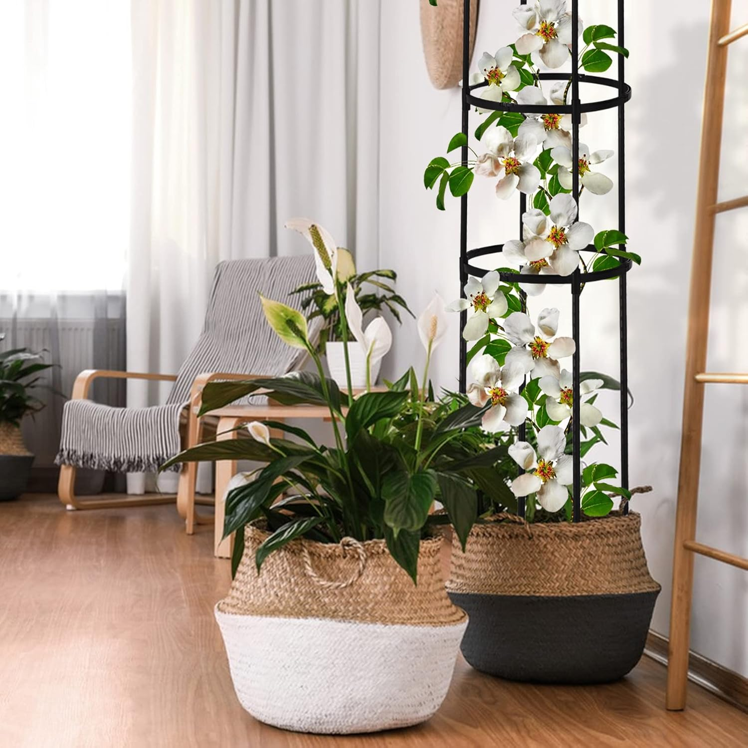 Garden Obelisk Trellis for Climbing Plants Outdoor 6 Ft Rose Bush round Trellis for Pots Rustproof Metal Plant Flower Trellises for Clematis Vine Jasmine Support Outdoor Indoor image number 3